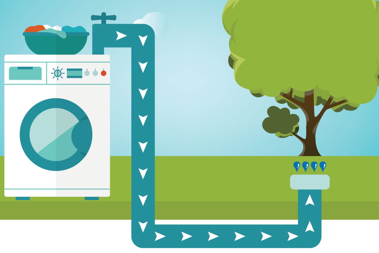 What Does Usda Organic Certification Mean How To Get Certified